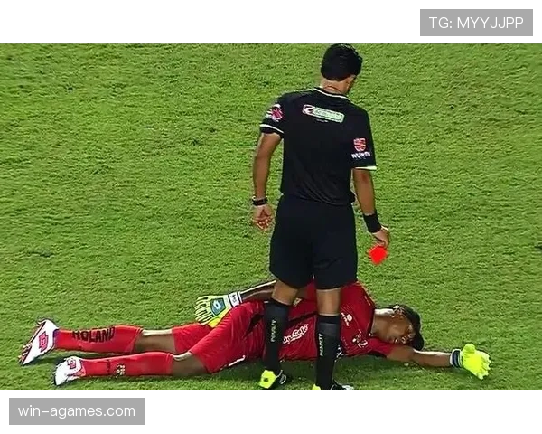 门将手球规则详解：哪些区域允许手触球？